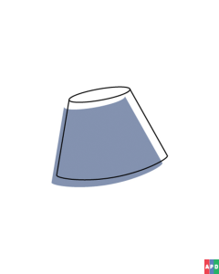 Bottle Neckers Cone 