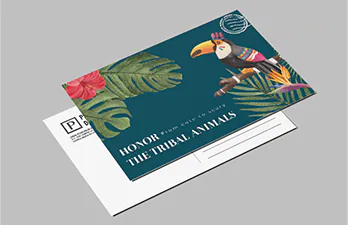 Postcards Soft Touch - Lamination